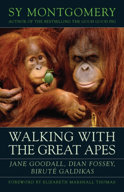 Walking with the Great Apes : Jane Goodall, Dian Fossey, Birute Galdikas, Paperback / softback Book