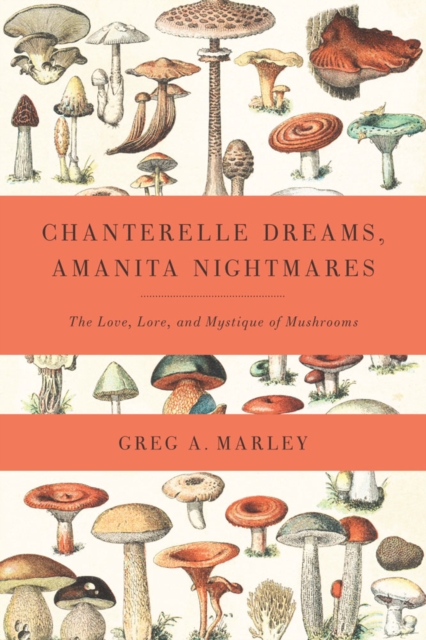 Chanterelle Dreams, Amanita Nightmares : The Love, Lore, and Mystique of Mushrooms, Paperback / softback Book