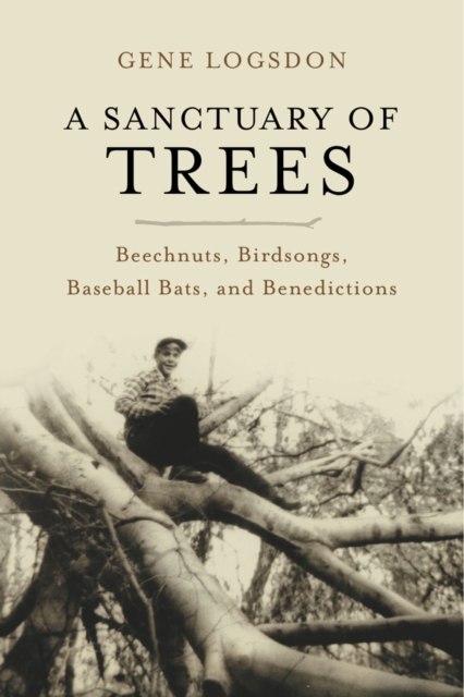A Sanctuary of Trees : Beechnuts, Birdsongs, Baseball Bats, and Benedictions, EPUB eBook
