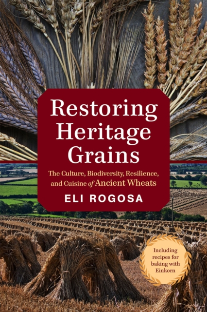 Restoring Heritage Grains : The Culture, Biodiversity, Resilience, and Cuisine of Ancient Wheats, Paperback / softback Book