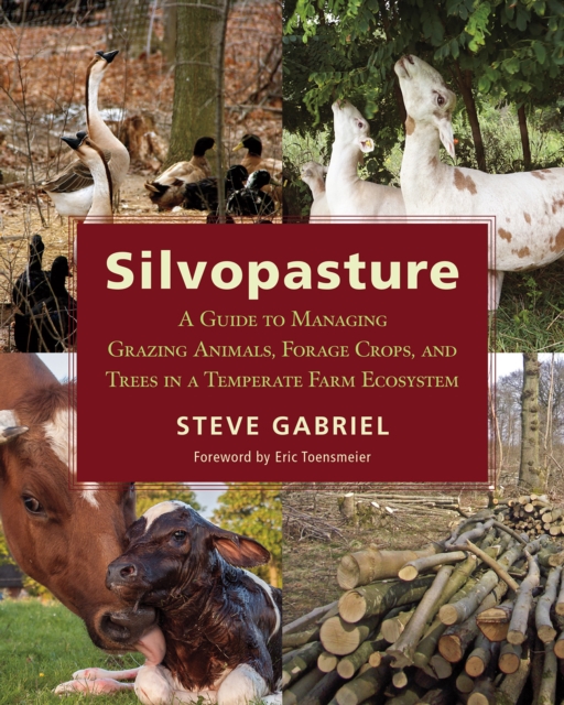 Silvopasture : A Guide to Managing Grazing Animals, Forage Crops, and Trees in a Temperate Farm Ecosystem, Paperback / softback Book