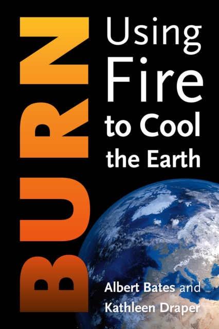 Burn : Igniting a New Carbon Drawdown Economy to End the Climate Crisis, EPUB eBook