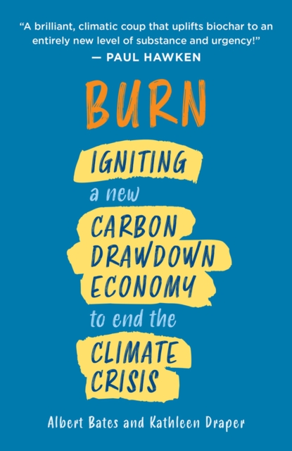 Burn : Igniting a New Carbon Drawdown Economy to End the Climate Crisis, Paperback / softback Book