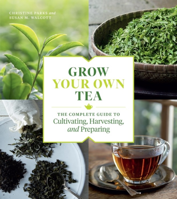 Grow Your Own Tea : The Complete Guide to Cultivating, Harvesting, and Preparing, Paperback / softback Book