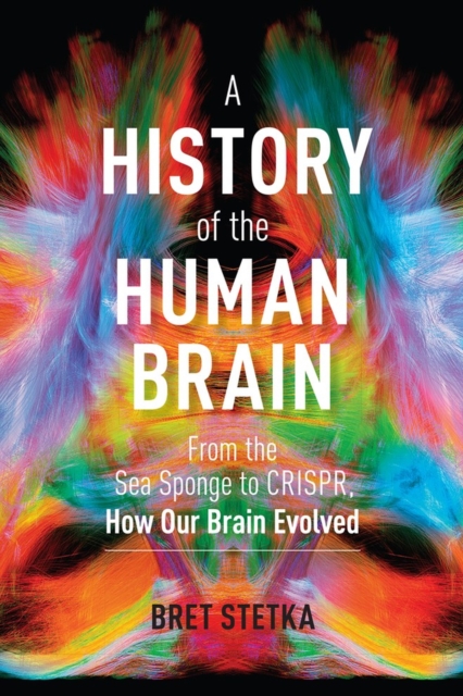 A History of the Human Brain : From the Sea Sponge to CRISPR, How Our Brain Evolved, Hardback Book