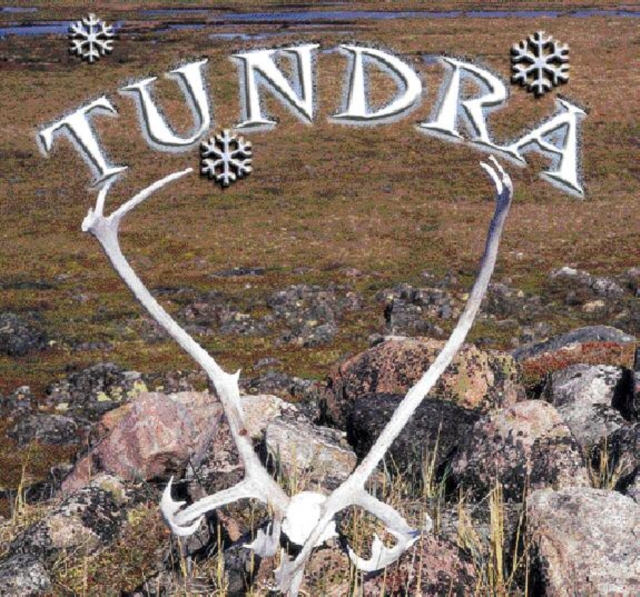Tundra, PDF eBook