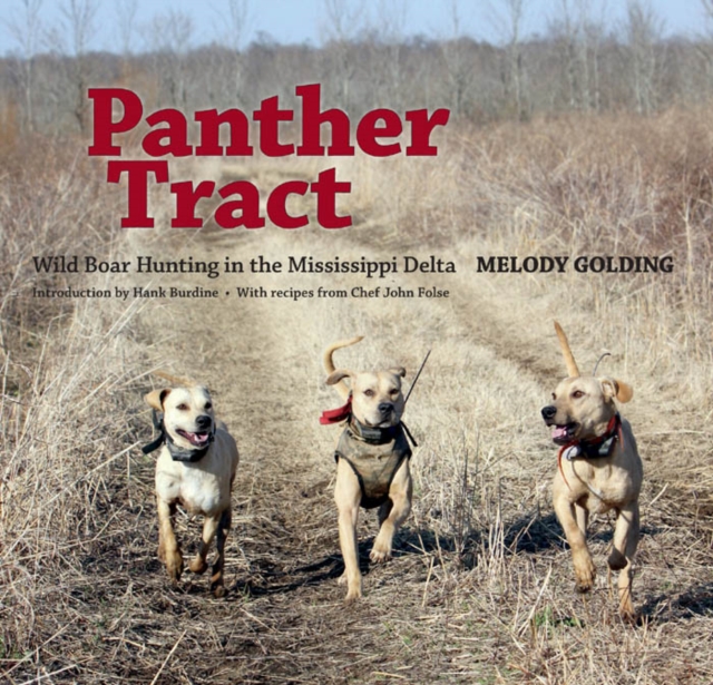 Panther Tract : Wild Boar Hunting in the Mississippi Delta, PDF eBook