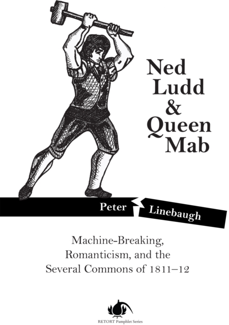 Ned Ludd & Queen Mab : Machine-Breaking, Romanticism, and the Several Commons of 1811-12, EPUB eBook