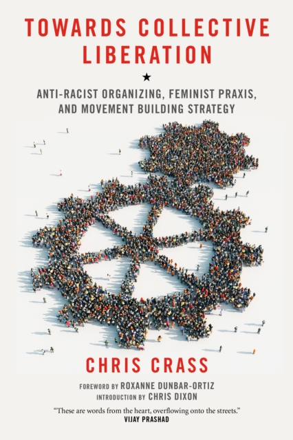 Towards Collective Liberation : Anti-Racist Organizing, Feminist Praxis, and Movement Building Strategy, EPUB eBook