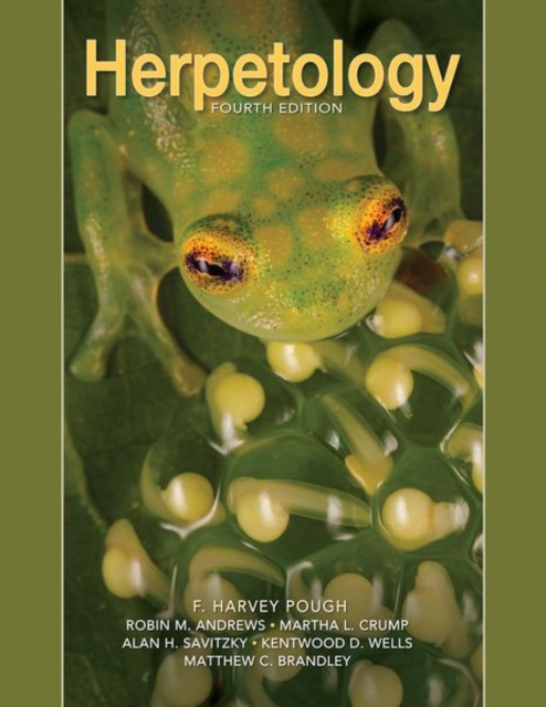 Herpetology, Paperback / softback Book