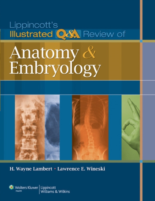 Lippincott's Illustrated Q&A Review of Anatomy and Embryology, Paperback / softback Book
