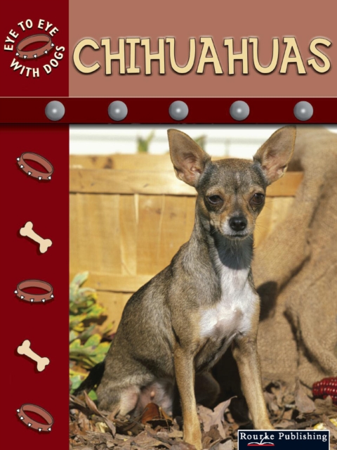 Chihuahuas, PDF eBook