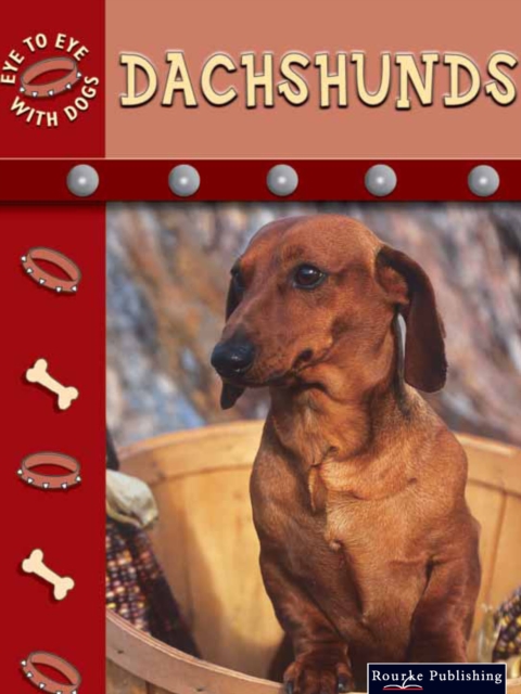 Dachshunds, PDF eBook