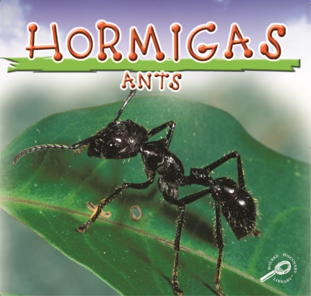 Hormigas : Ants, PDF eBook