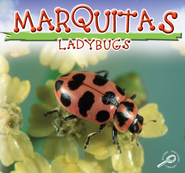 Mariquitas : Lady Bugs, PDF eBook