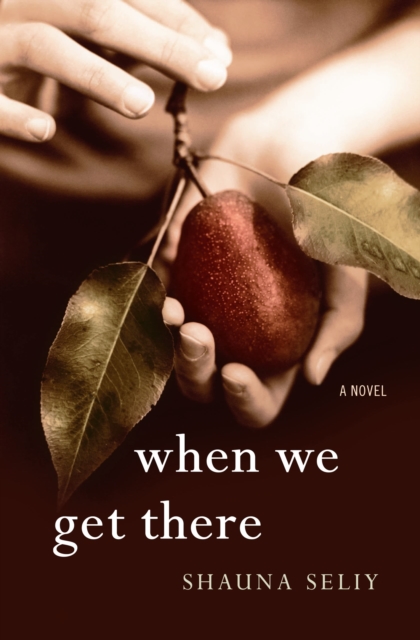When We Get There : A Novel, EPUB eBook