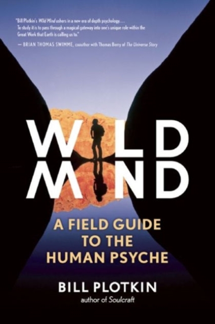 Mapping the Wild Mind : A Field Guide to the Human Psyche, Paperback / softback Book