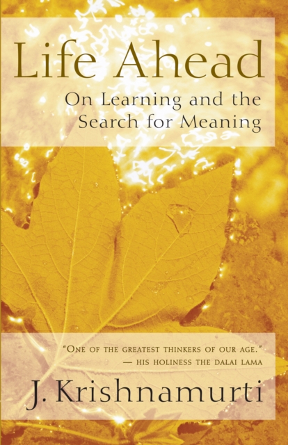 Life Ahead : On Learning and the Search for Meaning, EPUB eBook