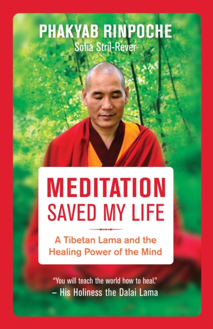 Meditation Saved My Life : A Tibetan Lama and the Healing Power of the Mind, EPUB eBook