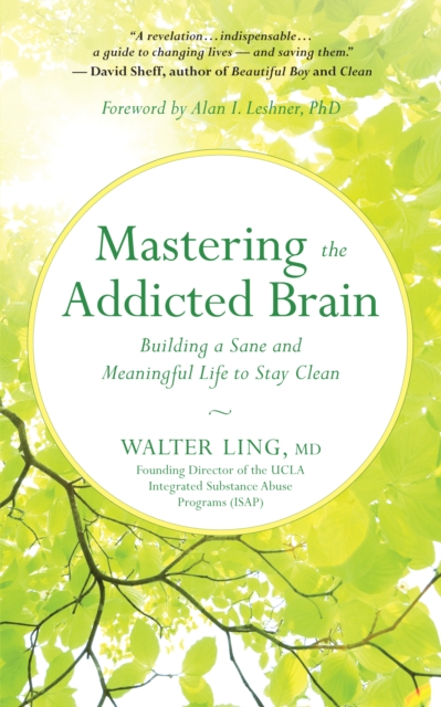 Mastering the Addicted Brain : Building a Sane and Meaningful Life to Stay Clean, EPUB eBook
