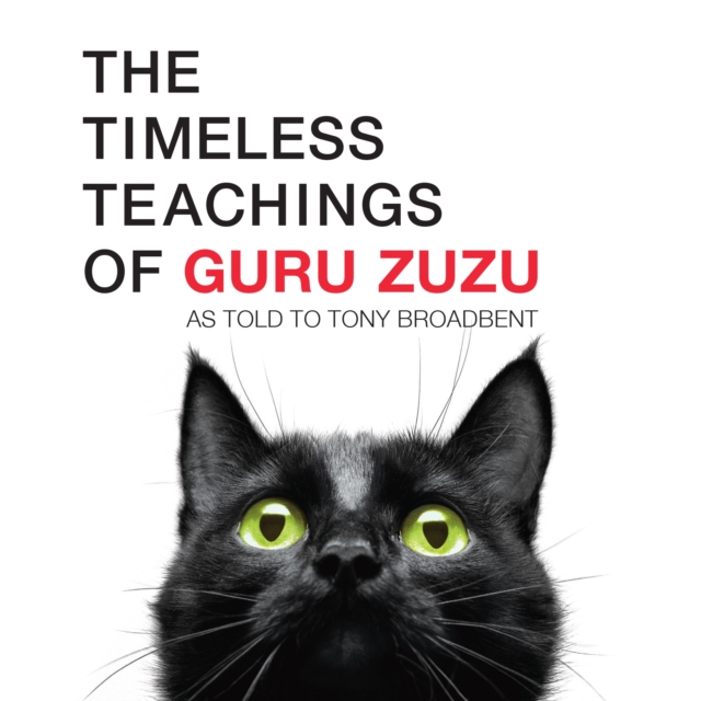 The Timeless Teachings of Guru Zuzu, EPUB eBook