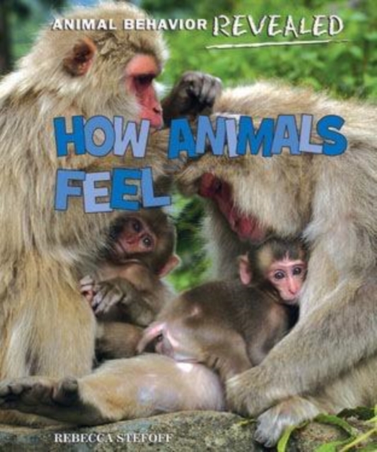How Animals Feel, PDF eBook