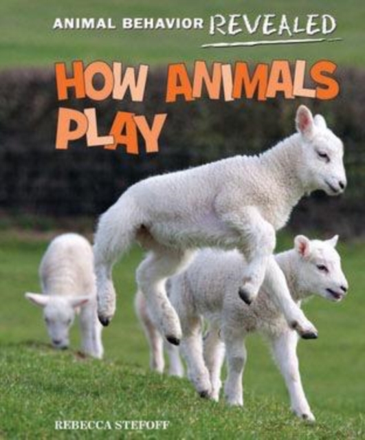 How Animals Play, PDF eBook