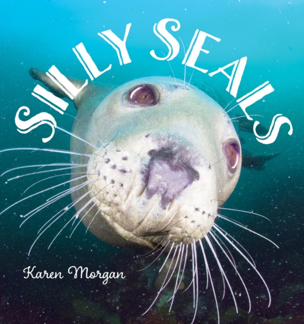 Silly Seals, EPUB eBook