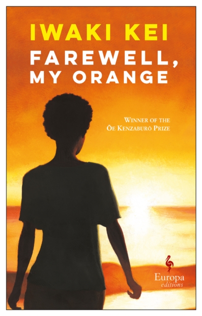 Farewell, My Orange, Paperback / softback Book