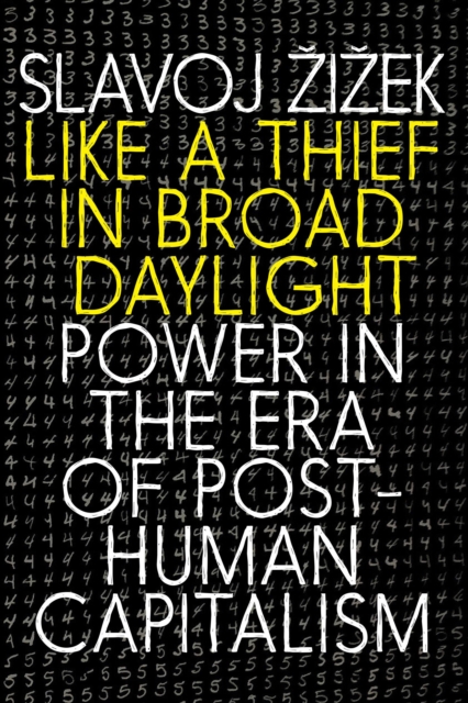 Like a Thief in Broad Daylight, EPUB eBook