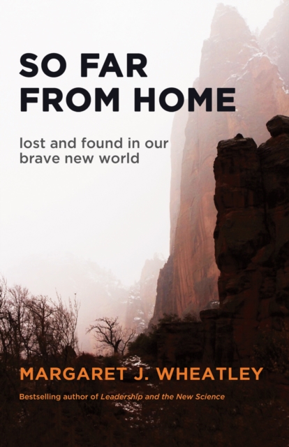 So Far from Home : Lost and Found in Our Brave New World, PDF eBook