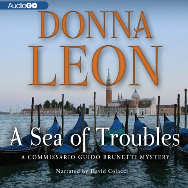 A Sea of Troubles, eAudiobook MP3 eaudioBook