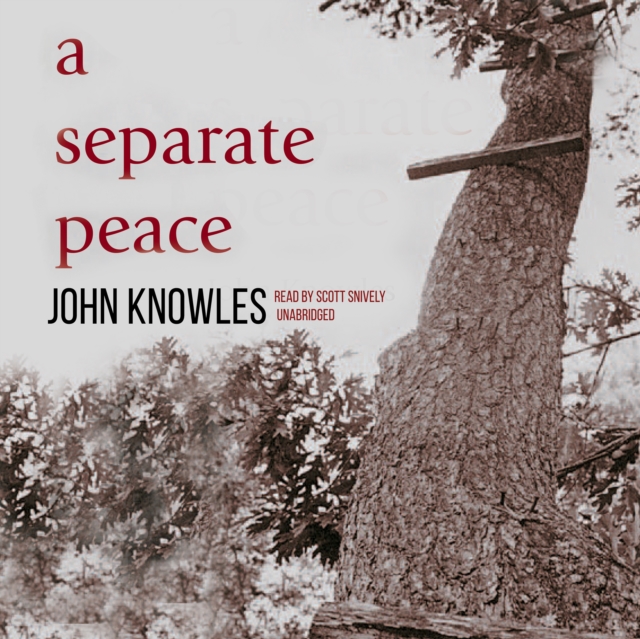 A Separate Peace, eAudiobook MP3 eaudioBook
