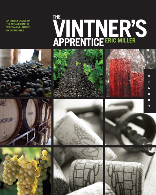The Vintner's Apprentice : An Insider's Guide to the Art and Craft of Wine Making, Taught by the Masters, EPUB eBook
