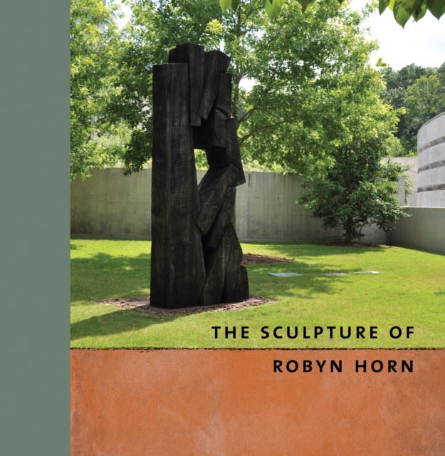 The Sculpture of Robyn Horn, EPUB eBook
