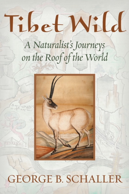 Tibet Wild : A Naturalist's Journeys on the Roof of the World, EPUB eBook