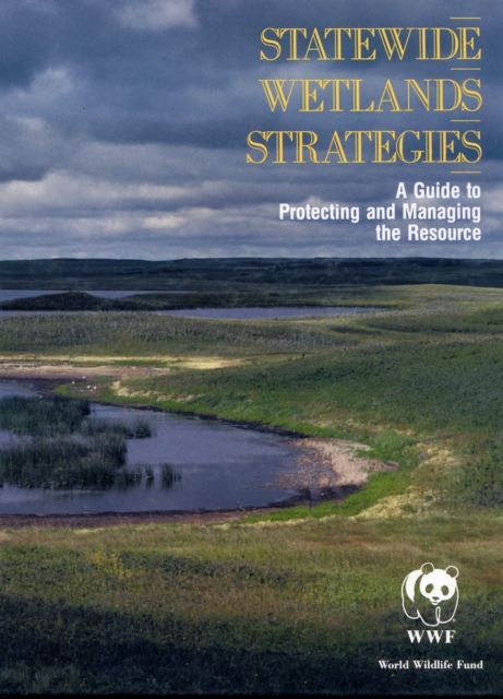 Statewide Wetlands Strategies, EPUB eBook
