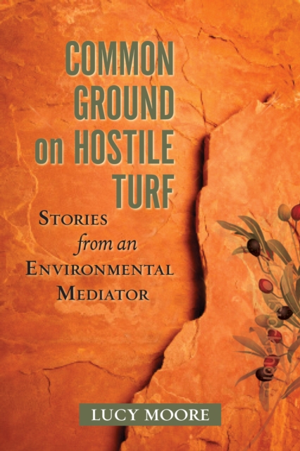 Common Ground on Hostile Turf : Stories from an Environmental Mediator, EPUB eBook