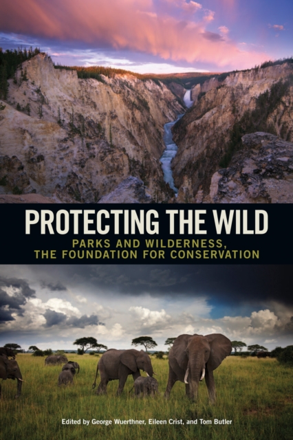 Protecting the Wild : Parks and Wilderness, the Foundation for Conservation, EPUB eBook
