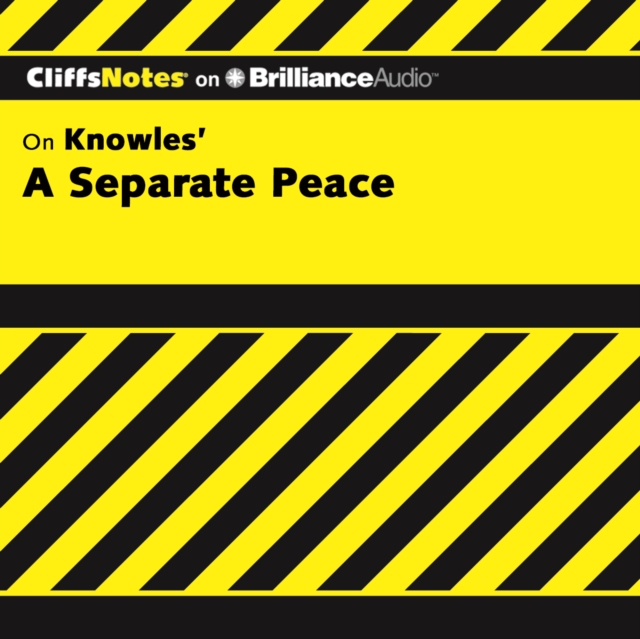 A Separate Peace, eAudiobook MP3 eaudioBook