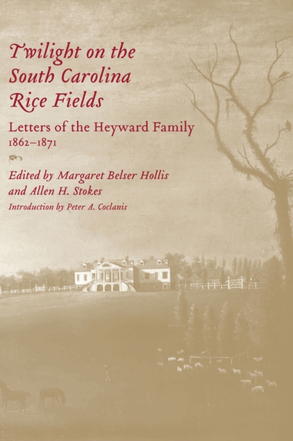 Twilight on the South Carolina Rice Fields : Letters of the Heyward Family, 1862-1871, EPUB eBook