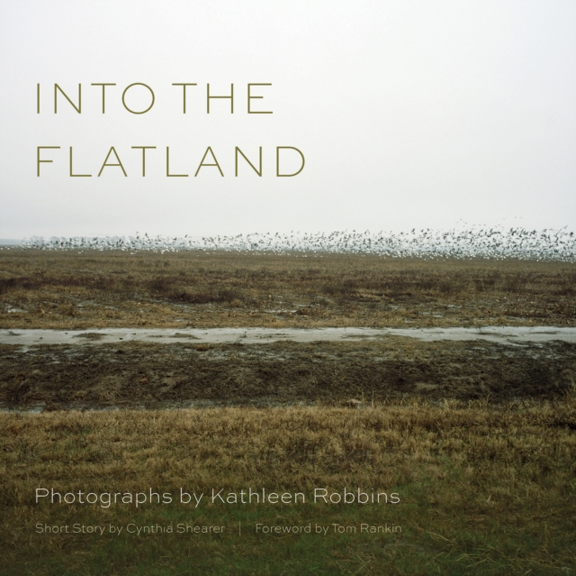 Into the Flatland, EPUB eBook