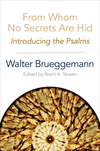 From Whom No Secrets Are Hid : Introducing the Psalms, EPUB eBook