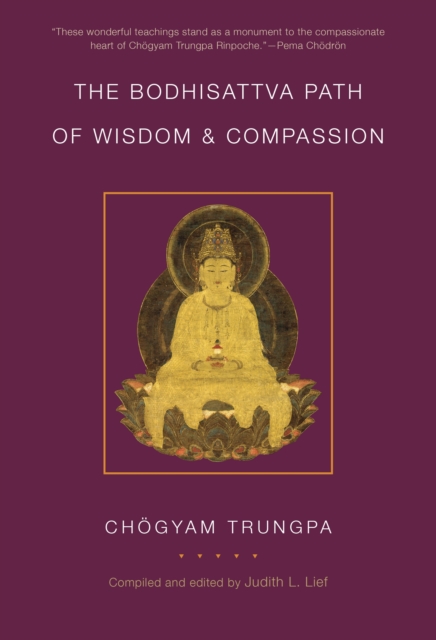 The Bodhisattva Path of Wisdom and Compassion : The Profound Treasury of the Ocean of Dharma, Volume Two, Paperback / softback Book