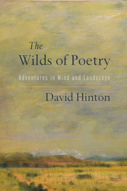 The Wilds of Poetry : Adventures in Mind and Landscape, Paperback / softback Book