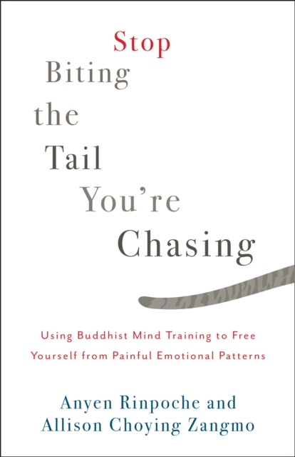 Stop Biting the Tail You're Chasing : Using Buddhist Mind Training to Free Yourself from Painful Emotional Patterns, Paperback / softback Book