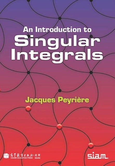 An Introduction to Singular Integrals, Paperback / softback Book