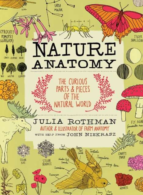 Nature Anatomy : The Curious Parts and Pieces of the Natural World, Paperback / softback Book