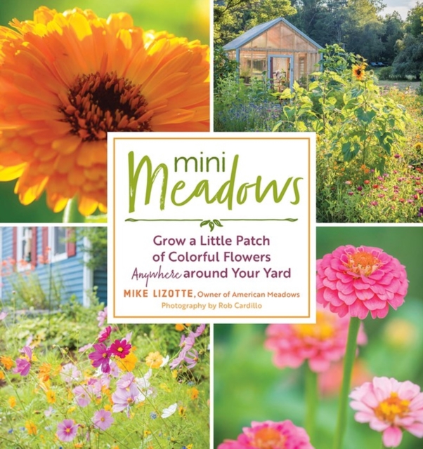 Mini Meadows : Grow a Little Patch of Colorful Flowers Anywhere around Your Yard, Paperback / softback Book