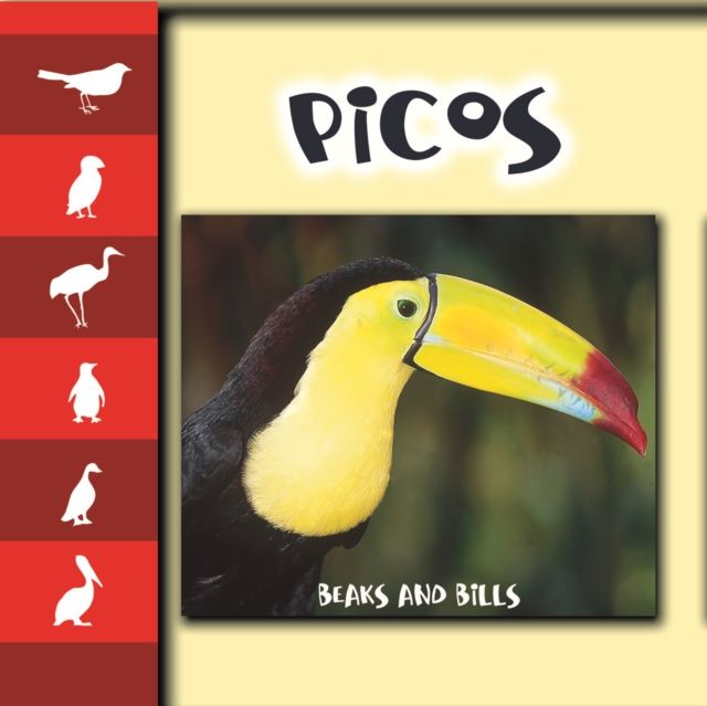 Picos : Beaks and Bills, PDF eBook